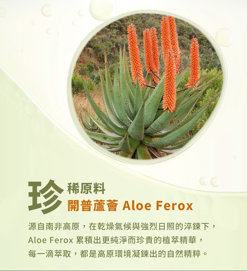 [群星生醫] A ALOE 雅露 精粹開普蘆薈凝膠 75ml 保濕補水 曬後舒緩 無香精 &times; 無酒精 &times; 無色素 全膚質皆可使用, , large