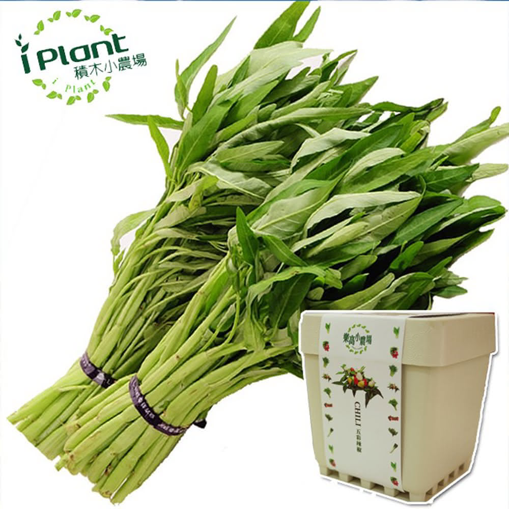 【心安購物】iPlant積木盆栽-空心菜, , large