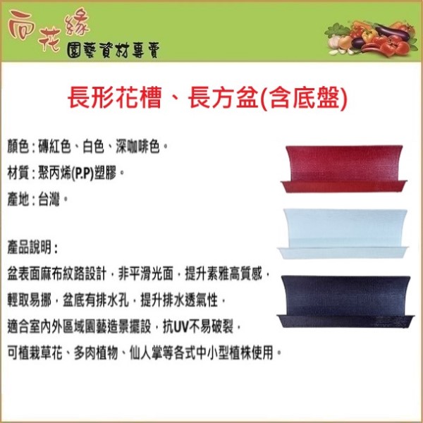 40cm Rectangular Planter Box (With Saucer) &ndash;White, , large