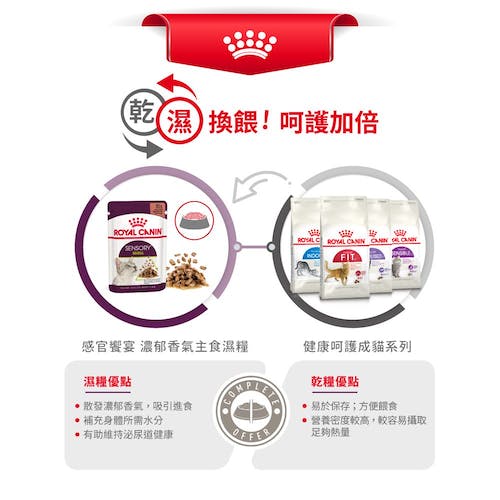 【拉拉寵物小舖】法國皇家 貓主食餐包 SSW 感官饗宴&trade; 濃郁香氣主食濕糧 貓主食濕糧, , large