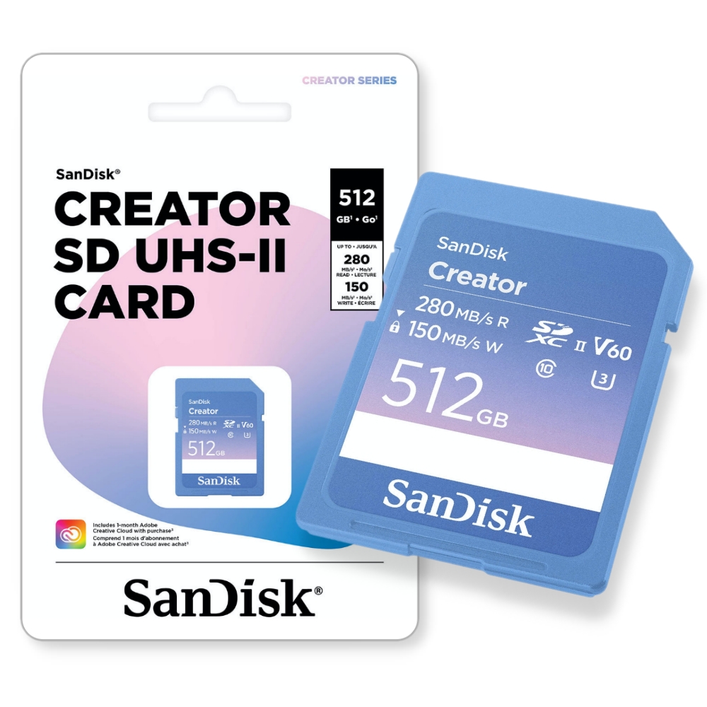 SanDisk SD card, , large