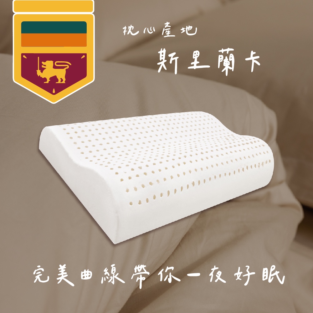 【青鳥家居】防蟎抗菌100%天然乳膠枕 枕頭 乳膠枕 乳膠枕頭 透氣枕頭 透氣枕 人體工學枕 低枕頭, , large