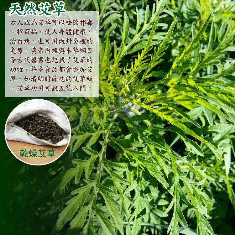 LASSLEY 亞藤艾草綠豆殼童枕 午睡枕 午休枕 午枕 小枕 小孩枕 兒童 豆枕 艾草枕 殼枕 綠豆枕 枕頭 台灣製造, , large
