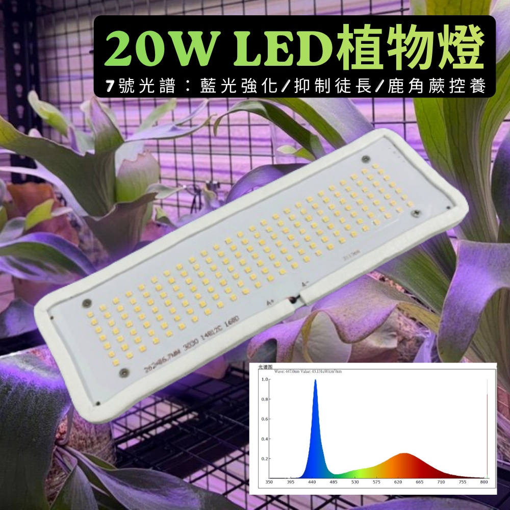 【君沛】7號光譜抑制徒長燈板 20W 藍光強化 磁吸式植物燈 鹿角蕨控養 龍舌蘭 塊根 縮刺 專業補光, , large