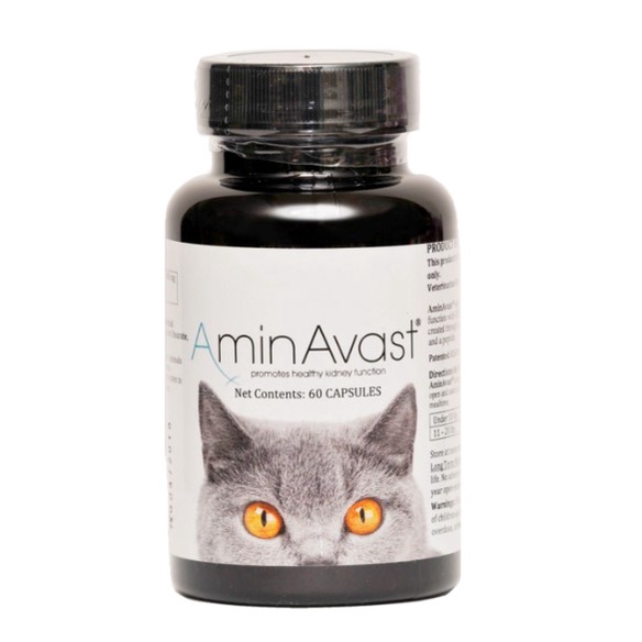 AminAvast 胺腎 貓或小型犬 腎臟保健 60顆, , large