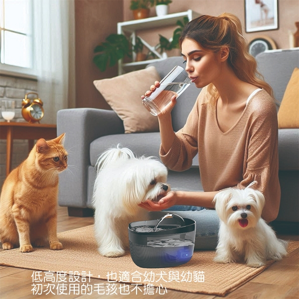 Petmii小鯨魚智能飲水機(USB插電款)黑, , large