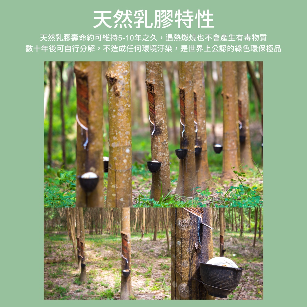 【Arnold Palmer雨傘牌】台製雙人特大6X7尺5cm 防蟎抗菌 天然乳膠床墊, , large
