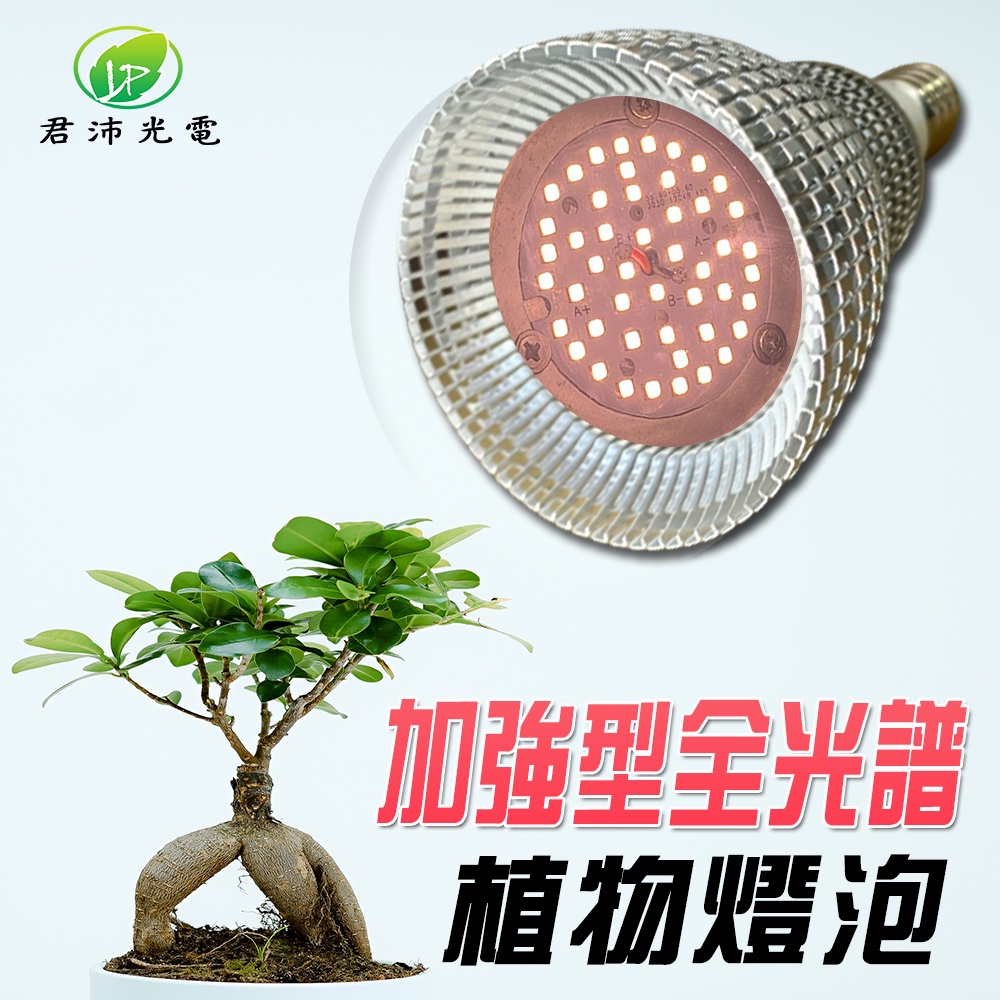 【君沛】加強型光譜 15W植物燈泡 E27 抑制徒長 誘導顯色 多肉控型 觀葉植物 塊根補光 專業生長燈 室內燈養首選, , large