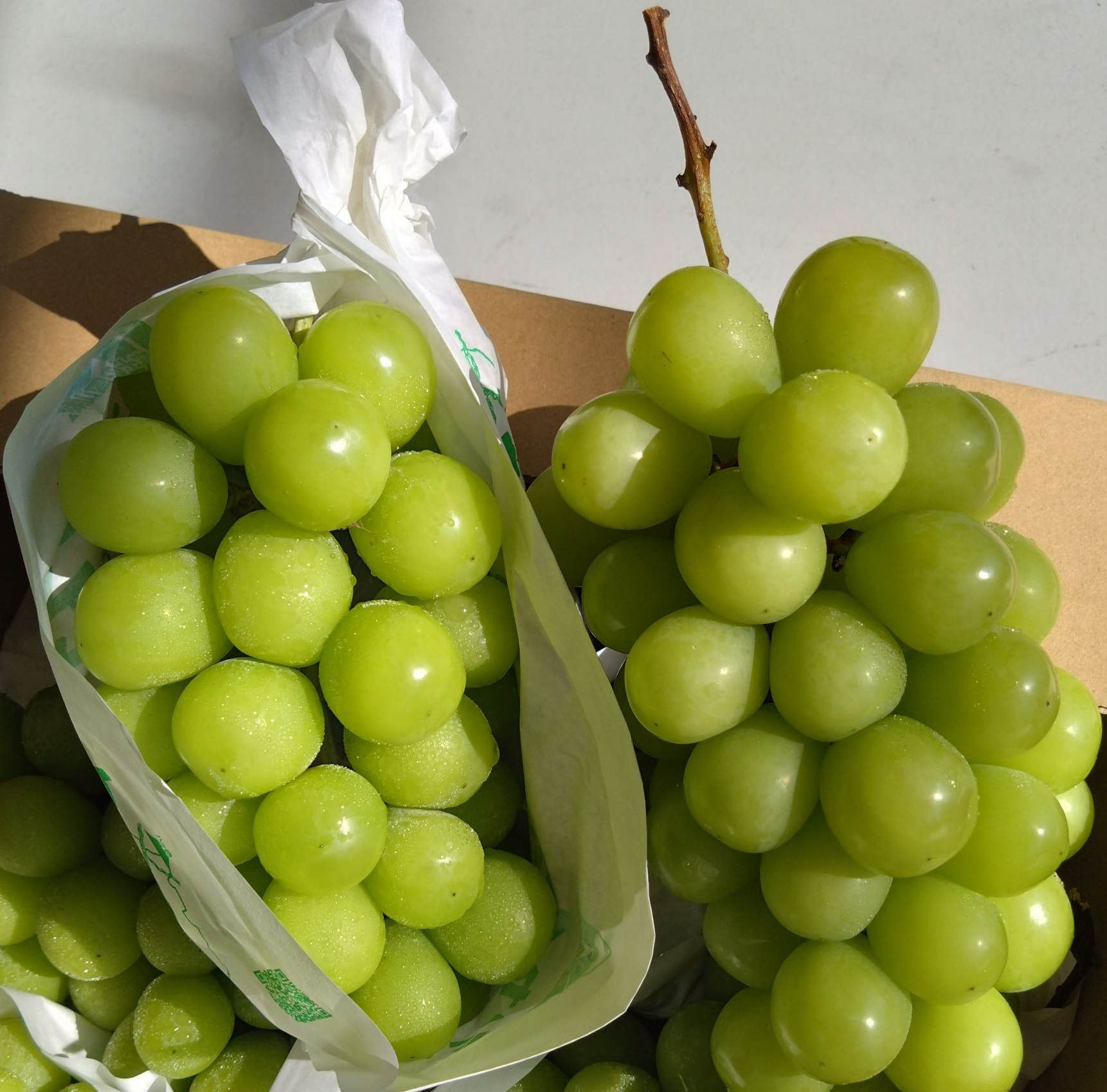 [芯鮮果]日本山梨縣( 麝香葡萄 ), , large