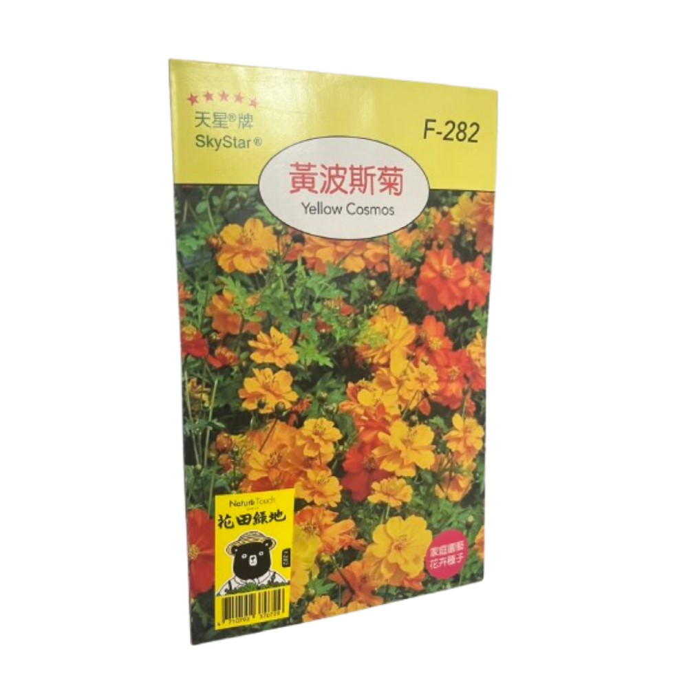 Skystar Yellow Cosmos &ndash; Flower Seeds, , large