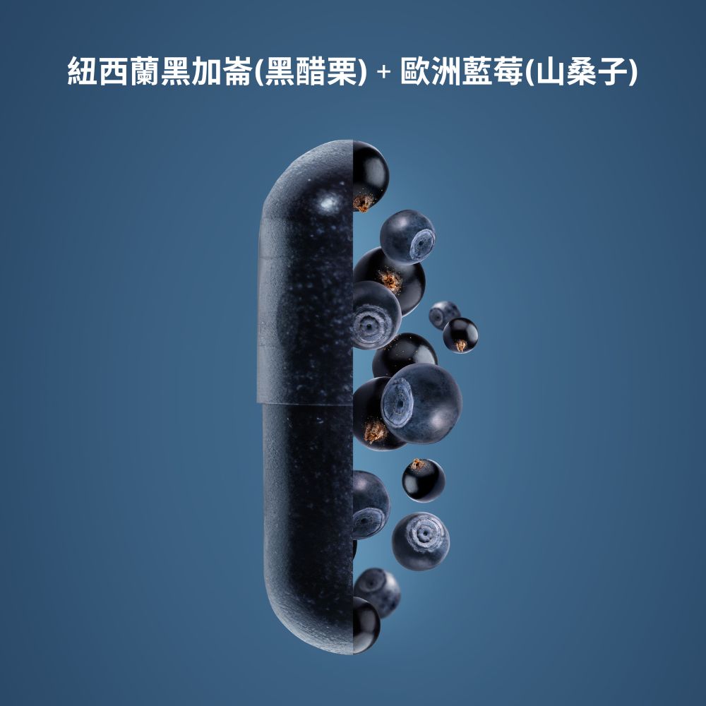 挪威北極熊三倍濃縮魚油一瓶+Medox 莓達斯花青素膠囊一盒  (滿三千85折), , large