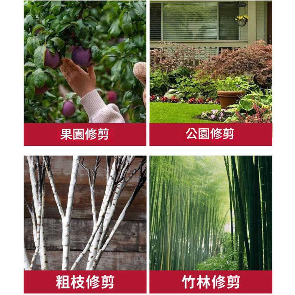 無刷鋰電修枝剪5節2電1充(塑盒電顯版), , large