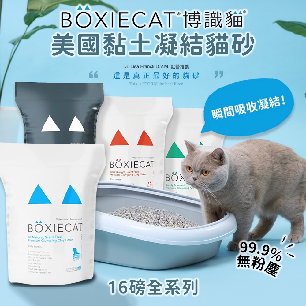 [承佳] BOXIECAT 博識貓 黏土凝結貓砂 天然黏土 16磅 (3包/箱), , large