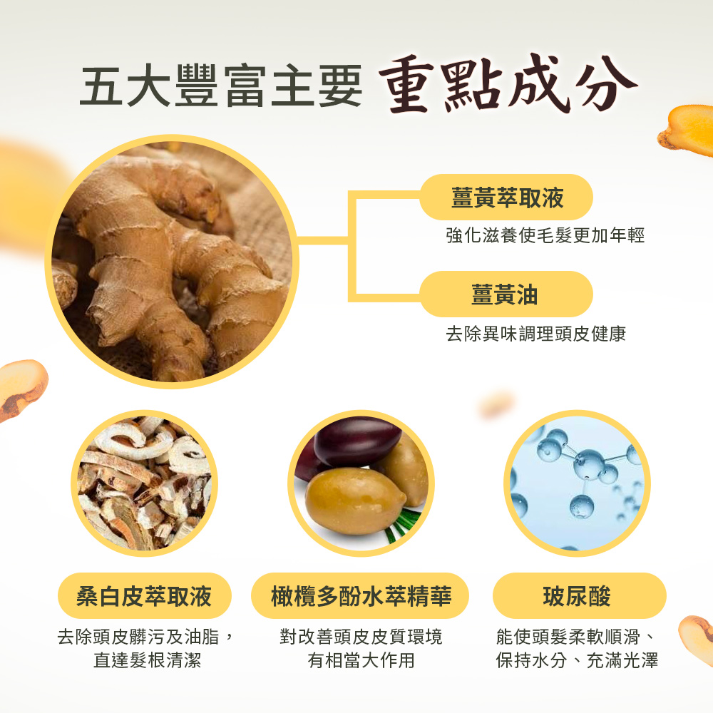 [裕馨]ALYSSANA 薑黃健髮洗髮精 750ml (強化髮根/頭皮呵護/溫和清潔/玻尿酸), , large