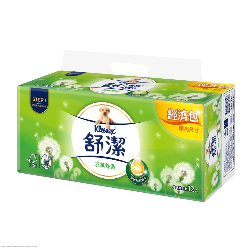 Sujay economic interf 100x12, , large
