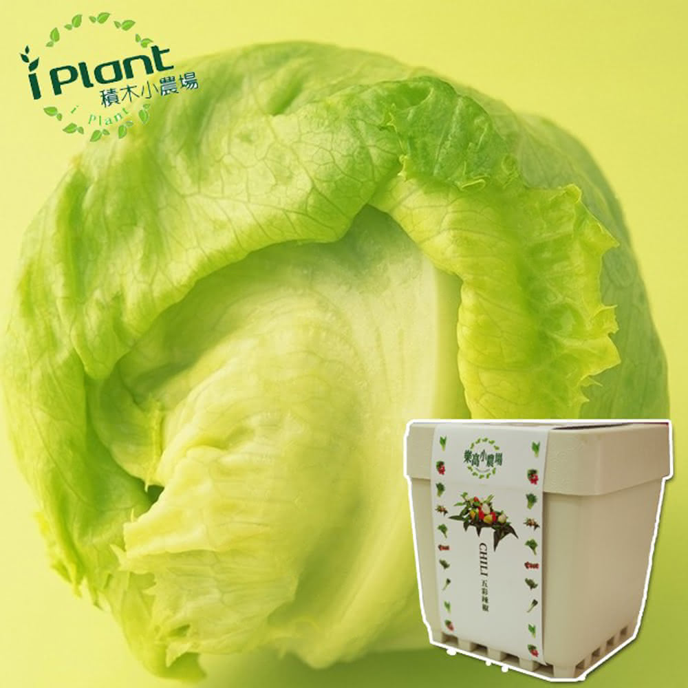 【心安購物】iPlant積木盆栽-萵苣, , large