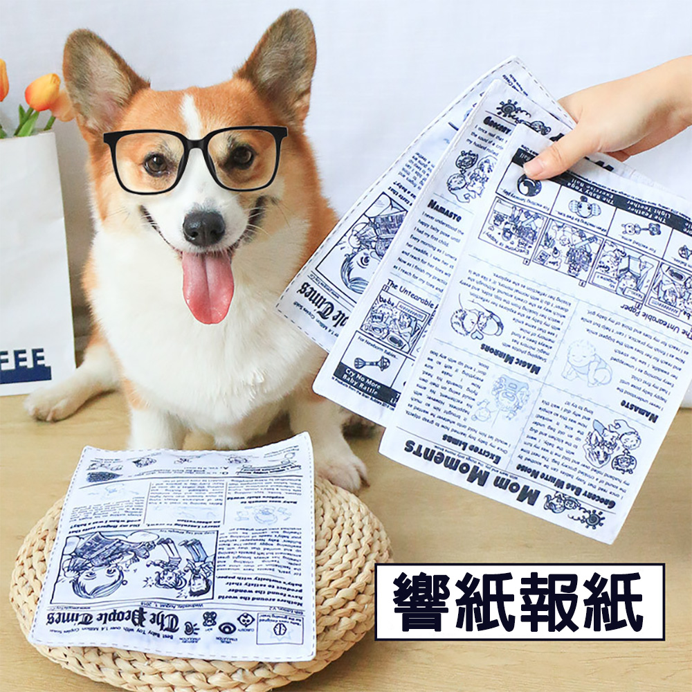 【CITY STAR】寵物狗狗發聲報紙可耐咬磨牙自嗨玩具, , large