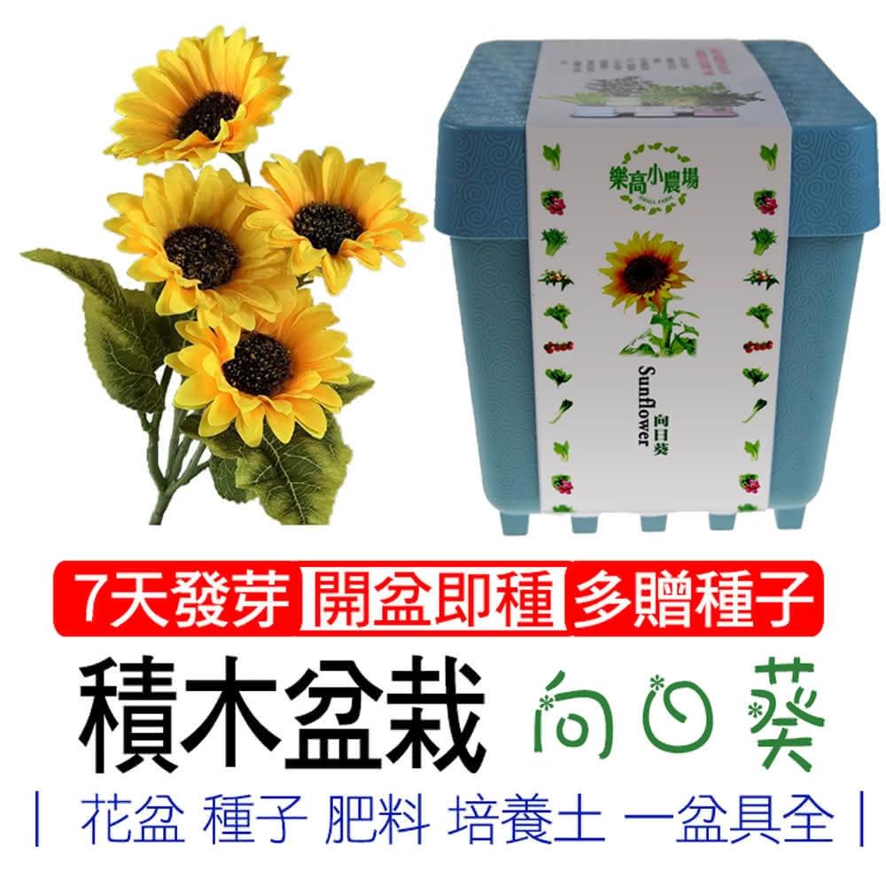 iPlant, , large