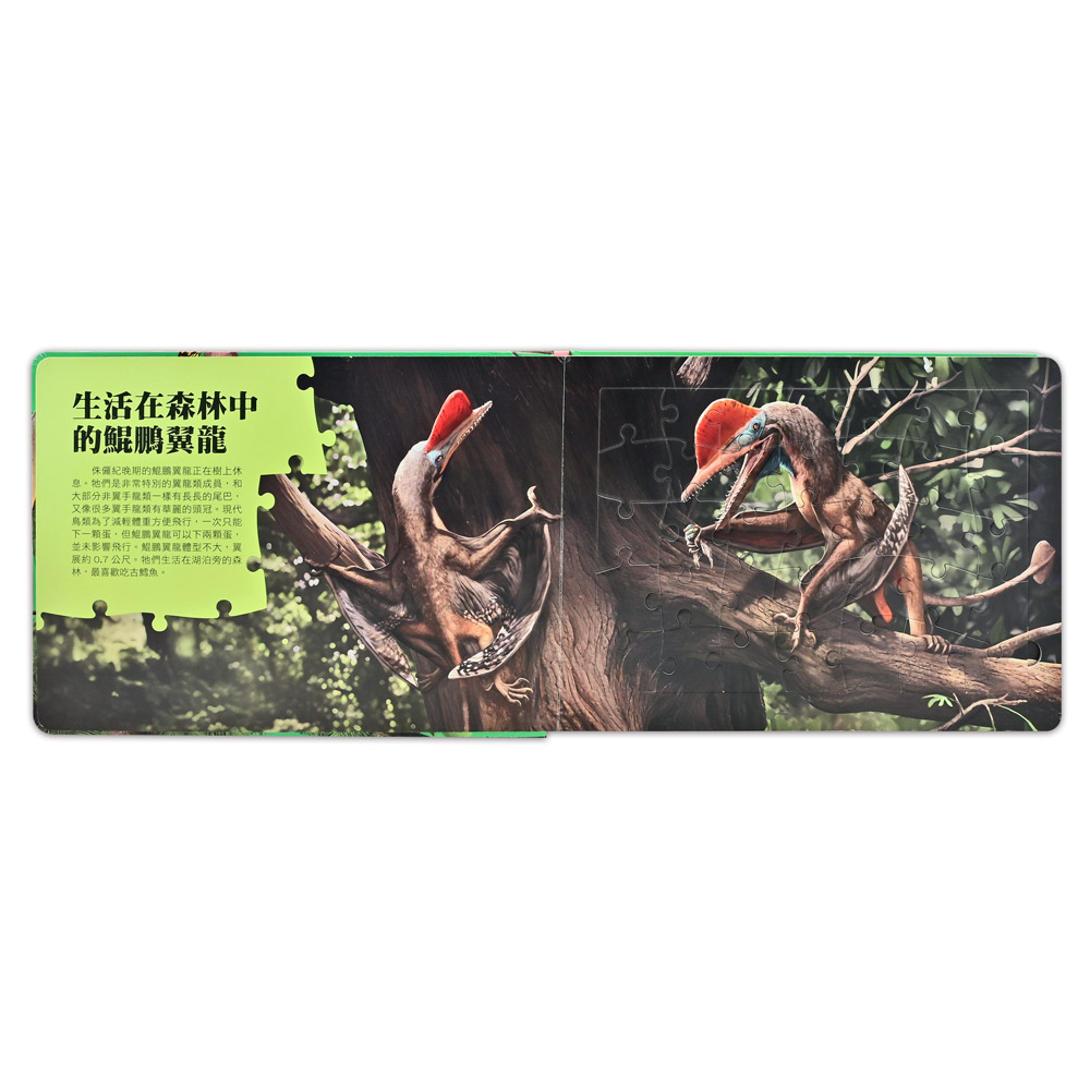 [風車圖書] PNSO翼龍知識百科拼圖, , large