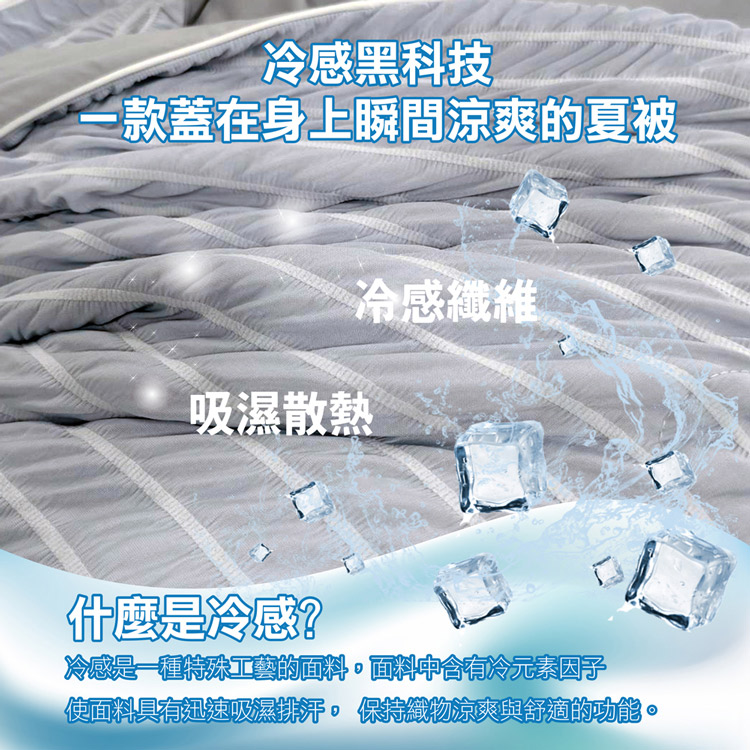 【多利寶寢具】Victoria _極致涼感親膚冰冰被/涼被/冷氣被/四季被, , large