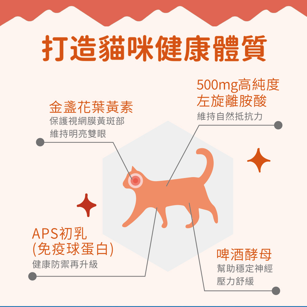 【IN-Plus】左旋離胺酸 多貓家庭加強配方114g/罐(全齡貓/貓咪免疫保健/貓咪保健/眼睛保健), , large