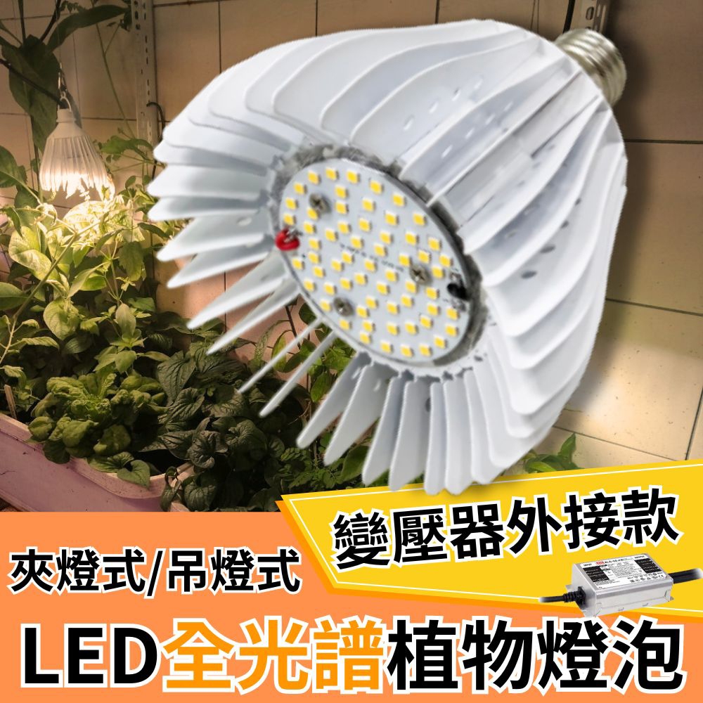 【君沛植物燈】LED植物燈 LED 50W 植物燈 外接電源型 全光譜 LED 植物生長燈, , large