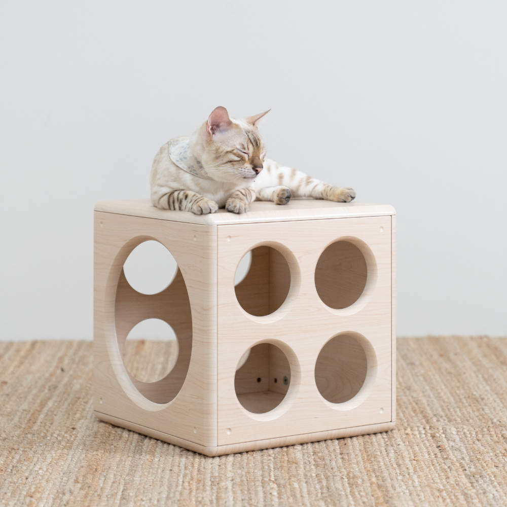 【paipaipets】Wooden Cube - Style S, , large