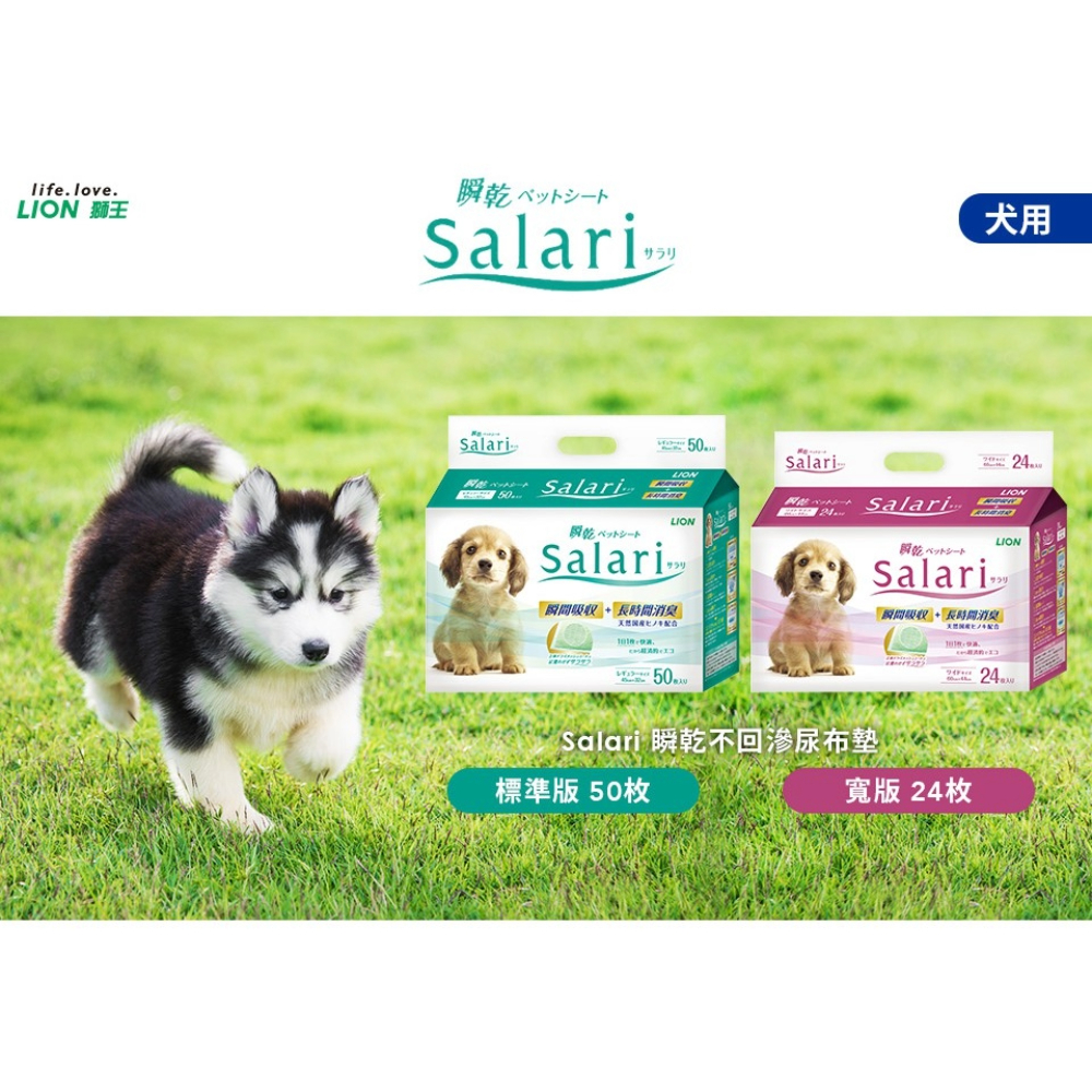[承佳] 日本獅王 Salari 寵物 瞬乾不回滲尿布墊 瞬間吸收 長效消臭 尿布墊 一天一張 經濟實惠, , large