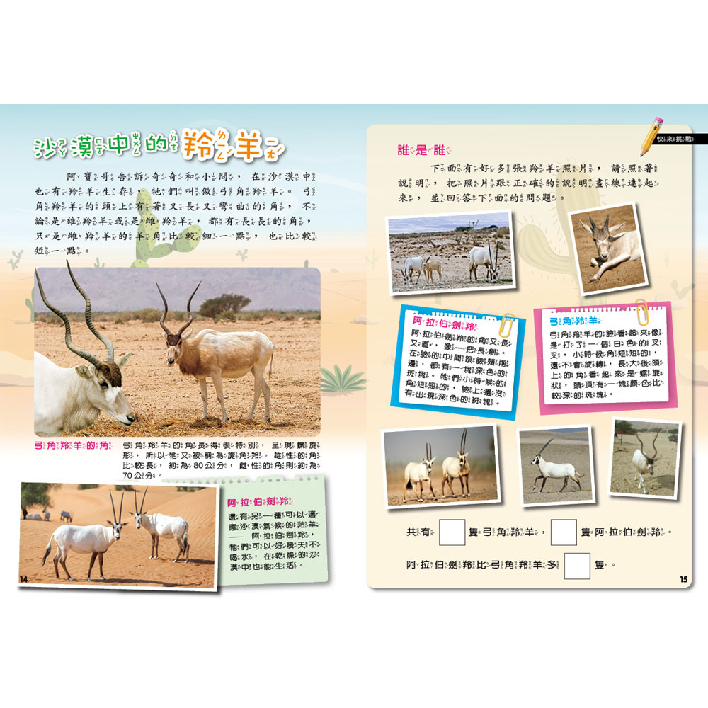 Desert, , large