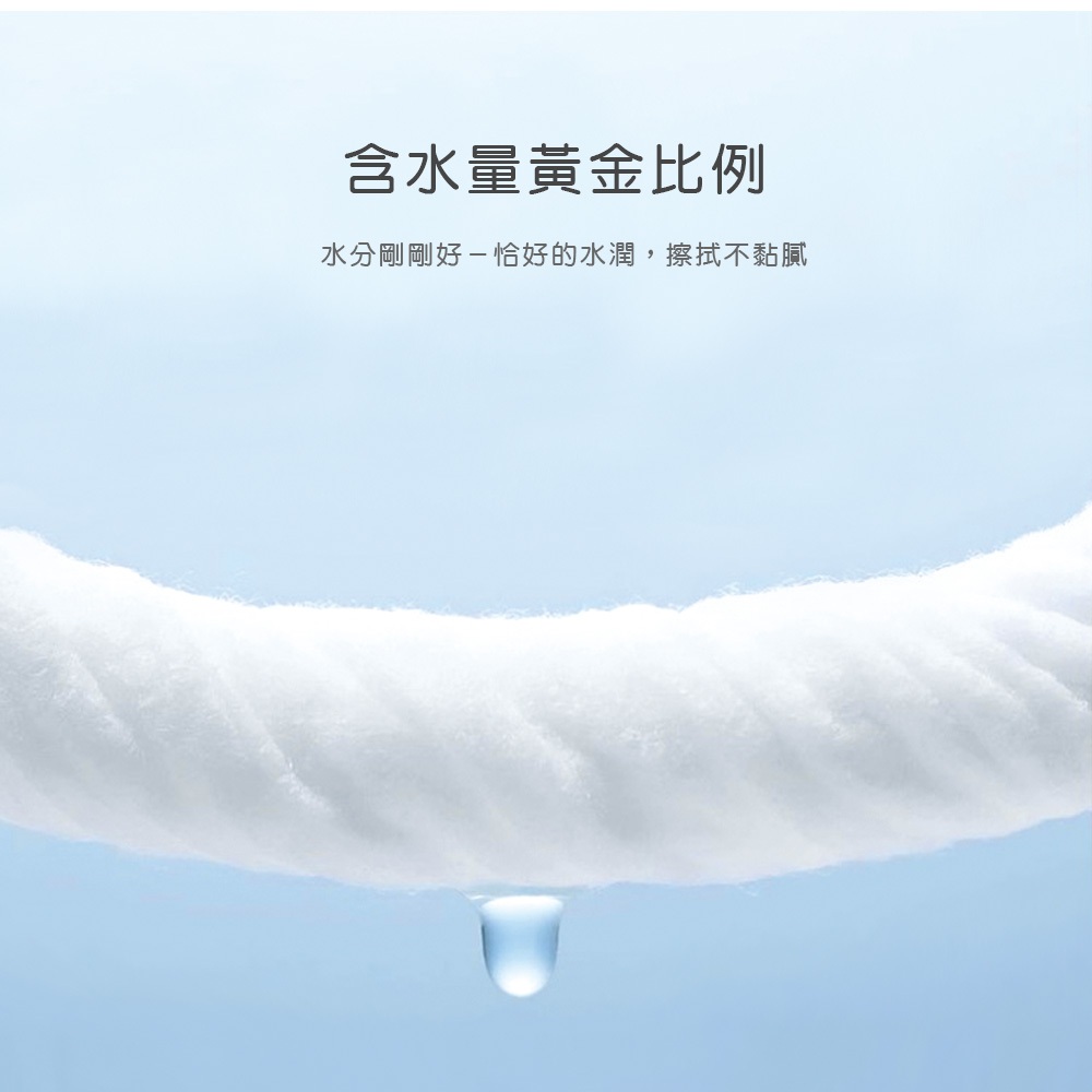 美麗佳人濕巾(100抽x1包) 純水濕巾 柔濕巾 手口濕巾 無酒精 掀蓋濕巾  【旺達棉品】MC-DR100, , large