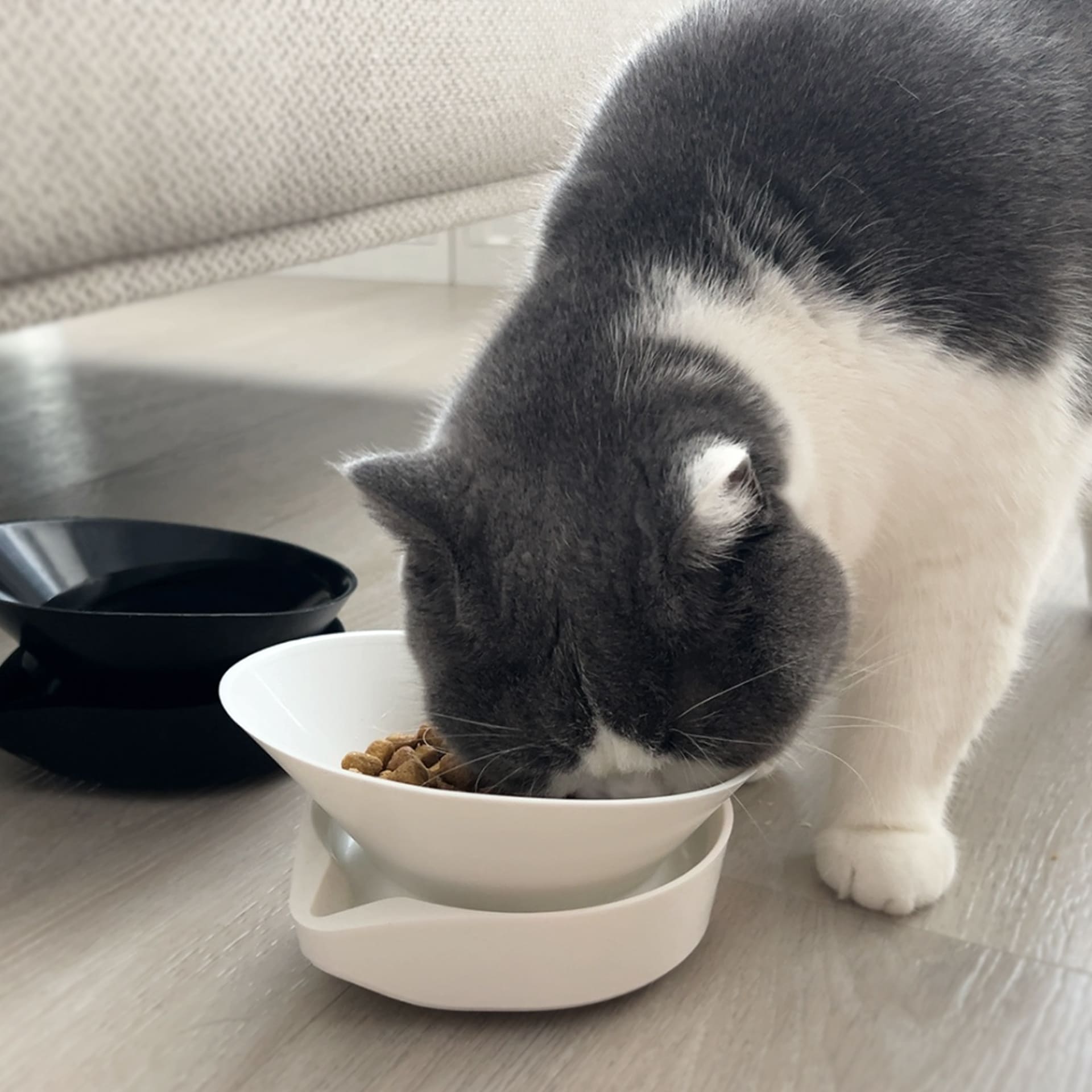 [HhL] MASTER BOWL-Ant-Proof Pet Bowl / Two Bowl (W+W), , large