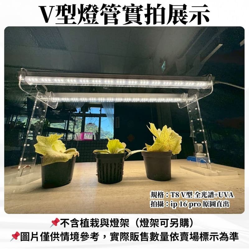【君沛】UVA全光譜 V型雙排 3呎T8一體式 40W 誘導上色 抑制徒長 多肉增豔 龍舌蘭控型燈管, , large