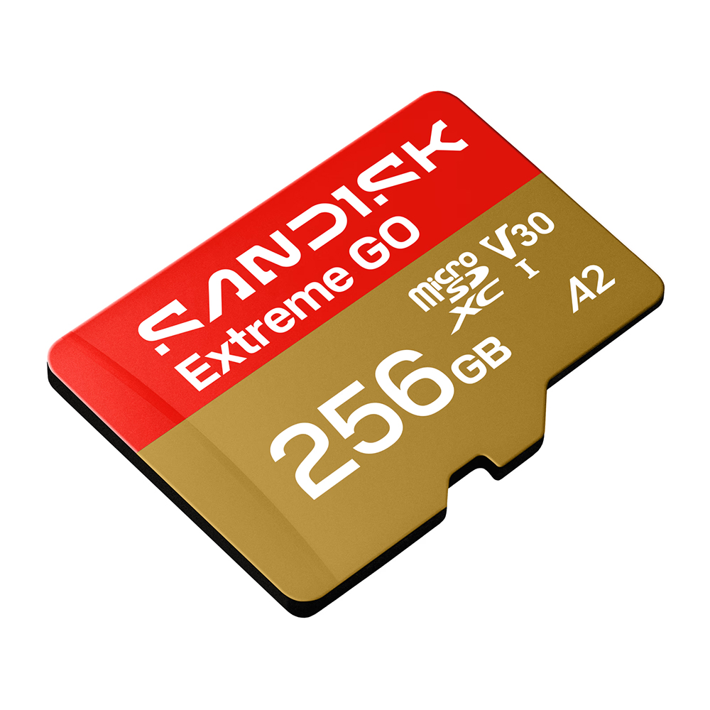 SanDisk microSD card, , large