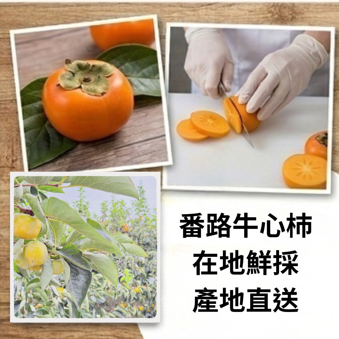 【番路鄉農會】柿果子脆片 (原味) - 110g/包, , large