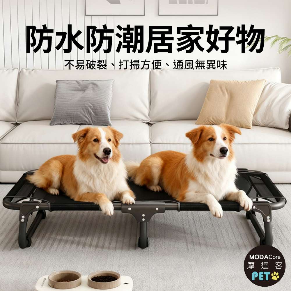 摩達客寵物-免安裝超輕量透氣摺疊寵物行軍床-XL號 外銷歐美加厚款飛行床寵物床_不鏽鋼支架, , large