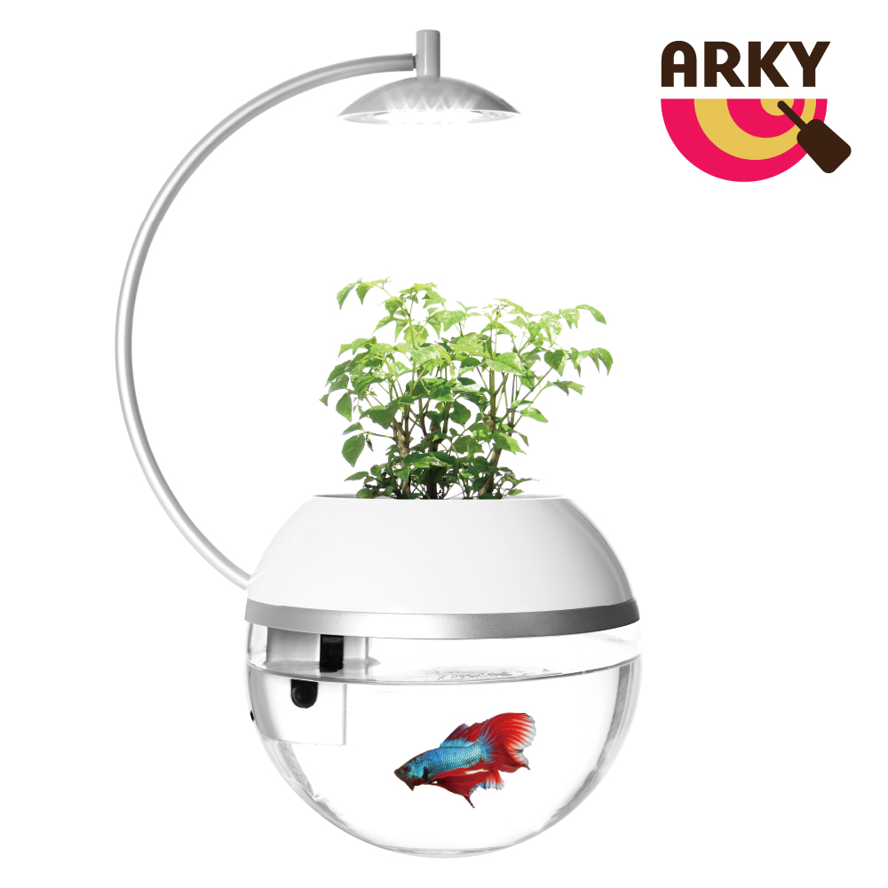 [桃品國際] ARKY 香草與魚 X, , large
