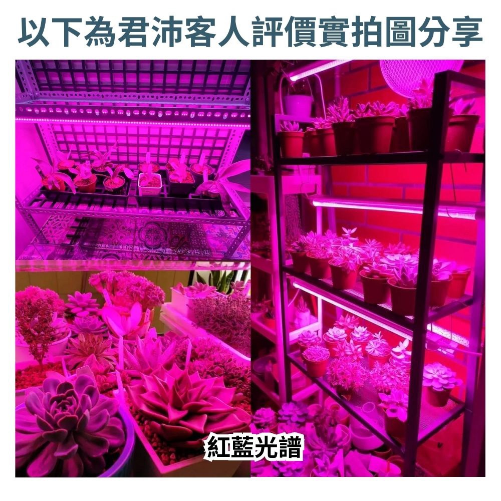 【君沛】2呎 25W 防水植物燈 紅藍混光 三防燈 LED植物生長燈 多肉上色 育苗 防徒長 陽台植物架, , large