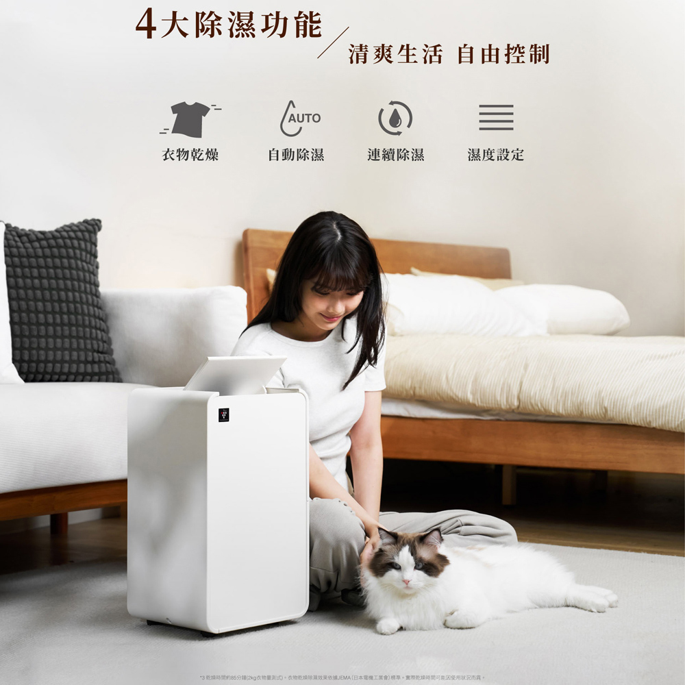 SHARP 夏普 乾淨方mini美型6L除濕機 DW-P6HT-H, , large