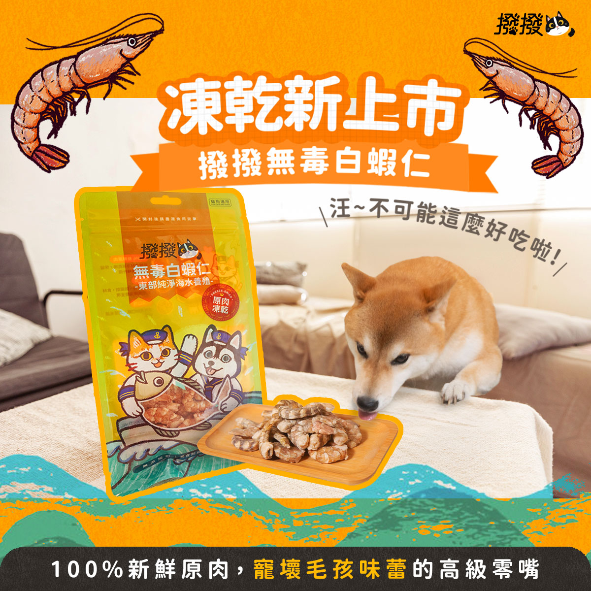 【撥撥】無毒白蝦仁 - 東部純淨海水養殖，貓狗適用原肉凍乾｜每包20g, , large