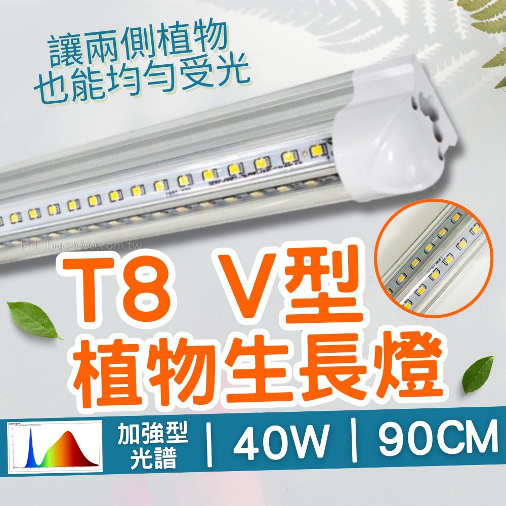 【君沛】V型雙排 40W 高功率 3呎 T8一體式植物燈 加強型光譜 抑制徒長 龍舌蘭 多肉 塊根控型 層架補光 免燈座, , large