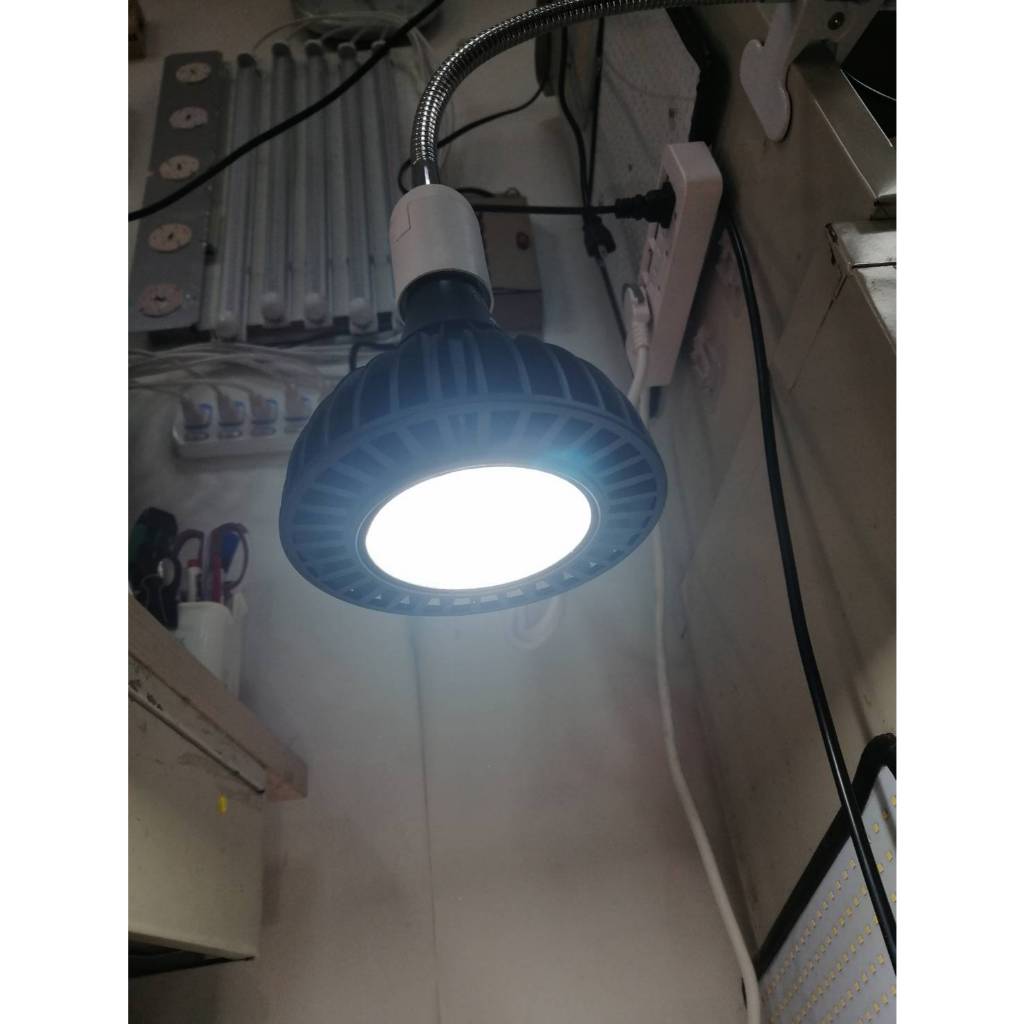 【君沛植物燈】LED植物燈 PAR38 LED32W聚光透鏡高光效植物燈(S85光譜) 黑殼 適合龍舌蘭、塊根, , large
