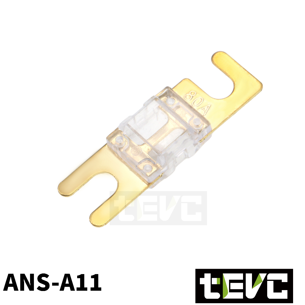 《tevc》ANS 100A保險絲 熔絲型 保險片, , large