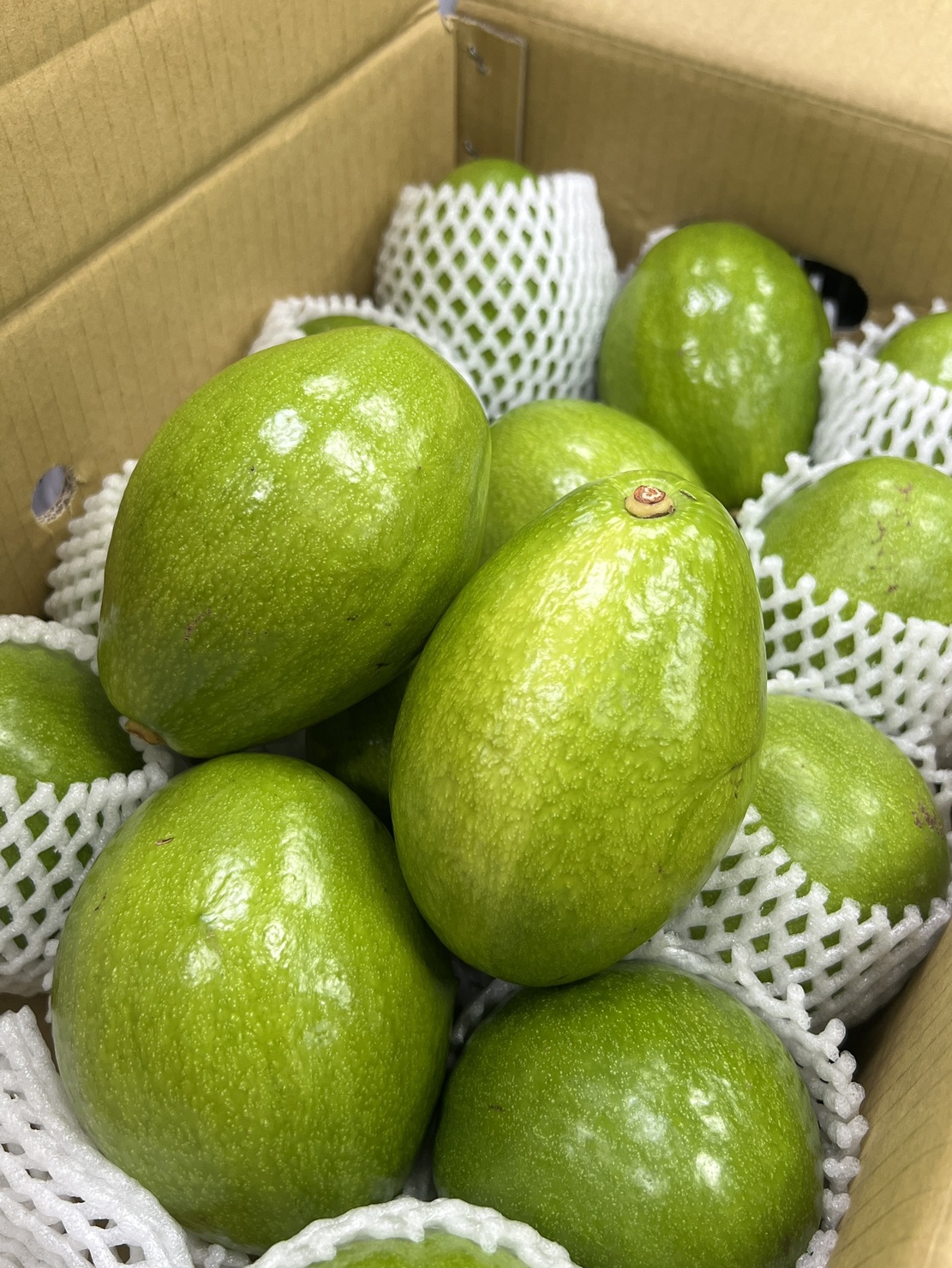 [芯鮮果]台灣( 酪梨 ), , large