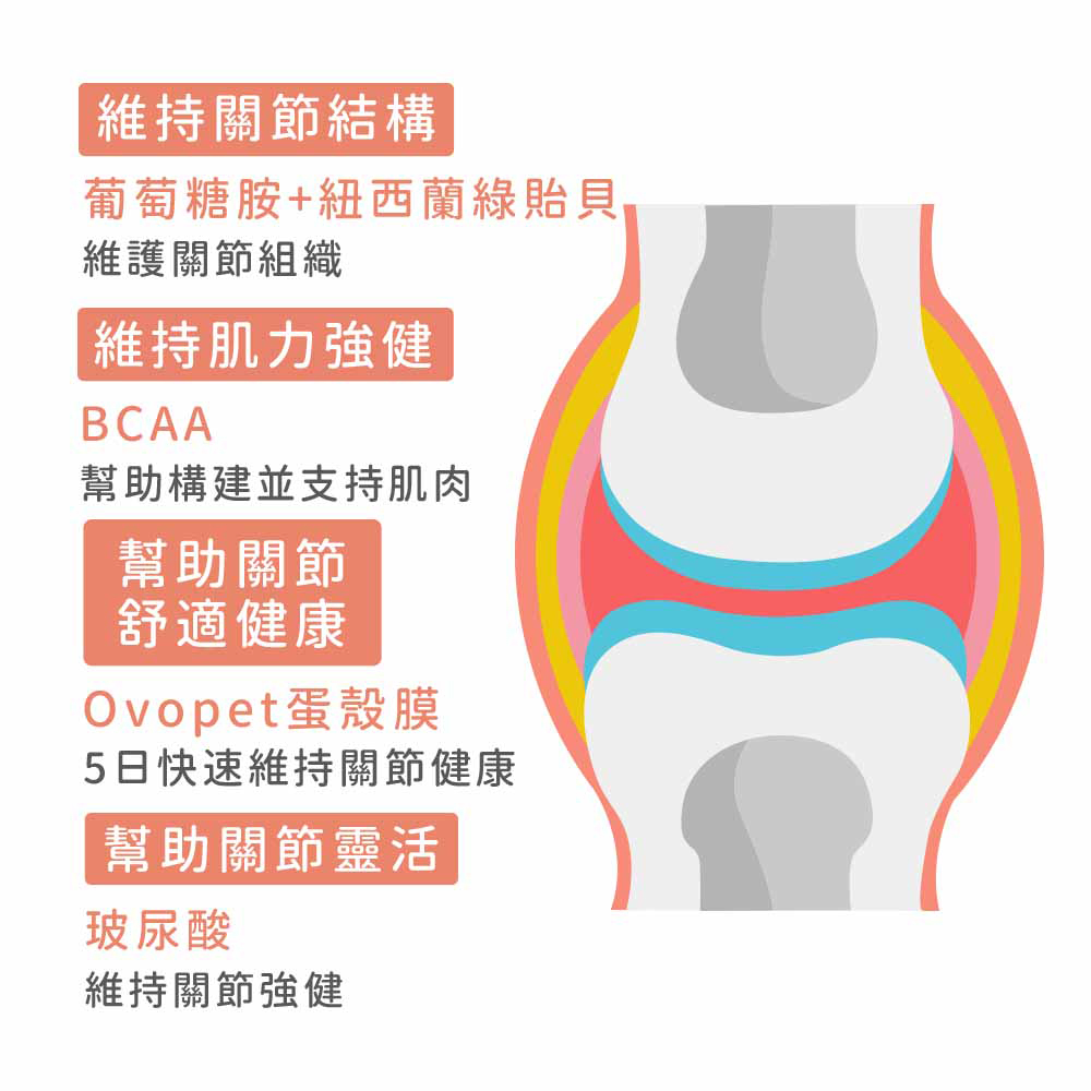 【IN-Plus】蛋殼膜關節保健 雙效呵護配方60顆/罐(全齡犬/狗關節/皮膚保健/寵物保健), , large