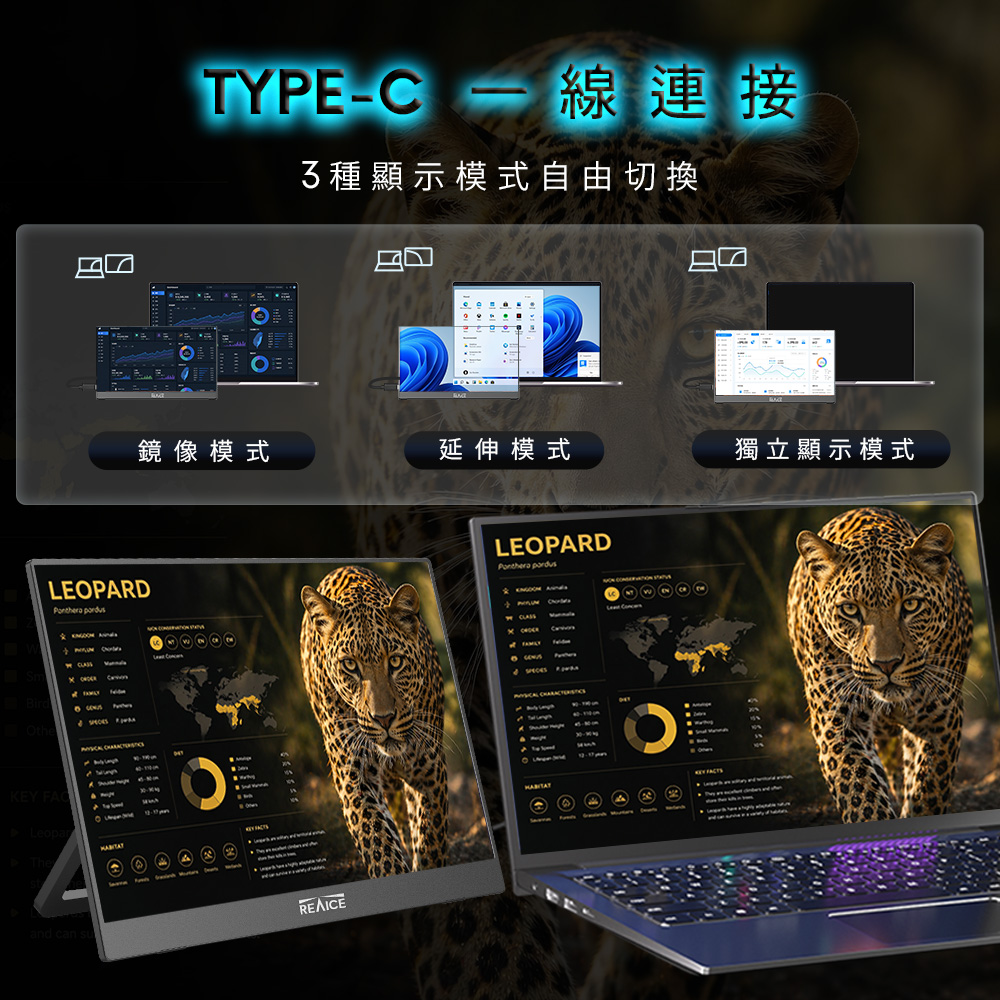 贈螢幕清潔三件組【台陞科技】REAICE 13.3型2.5K升級版IPS超薄可攜式外接螢幕 PS133QC, , large