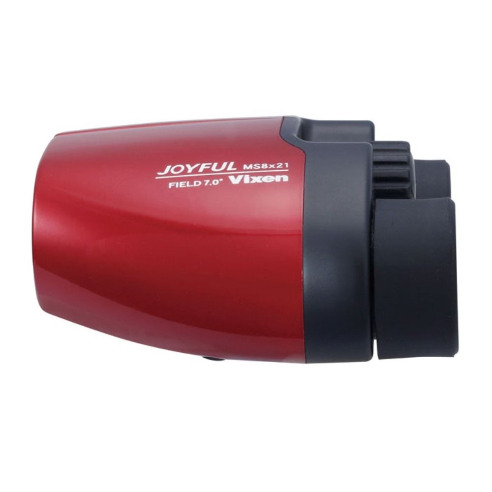  Joyful MS8x21, , large