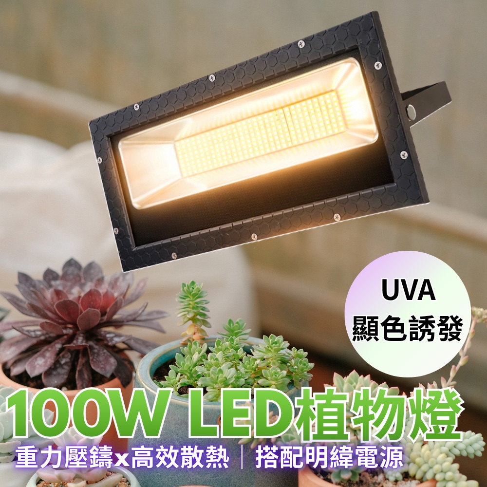 【君沛】100W全光譜UVA 強力補光植物燈 誘導上色 抑制徒長 防水防潮投射燈 居家陽台 龍舌蘭 多肉控型 專業生長燈, , large