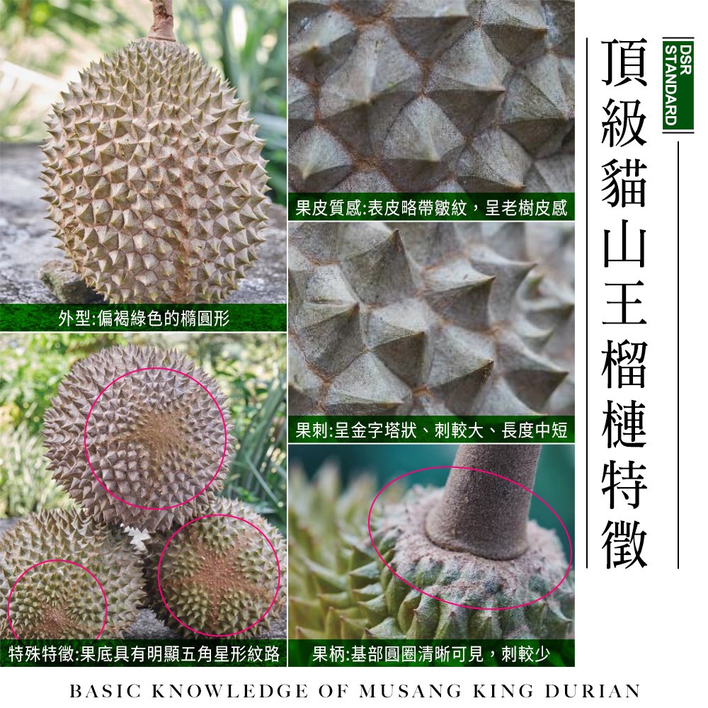 ★真的貓山王!!!★【D.MASKING榴槤大哥】全台唯一馬來西亞官方認證&rarr;勞勿冷凍貓山王榴槤 400g_2盒, , large