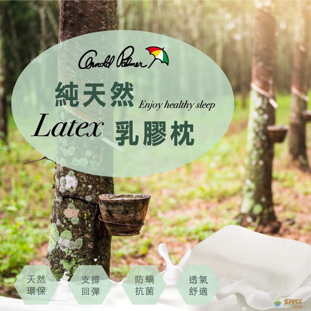 【Arnold Palmer雨傘牌】透氣立體結構棉網乳膠枕 買一送一, , large