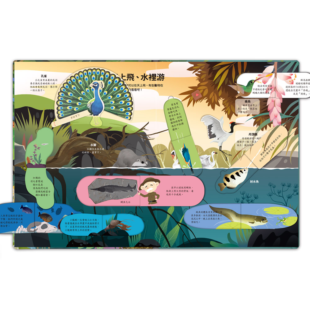 [風車圖書] 神奇的動物百科立體翻翻書, , large